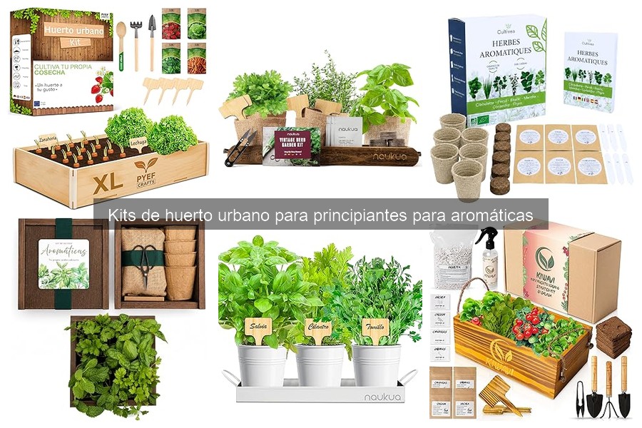 Kits de Huerto Urbano para Principiantes: ¿Qué son y cómo funcionan?