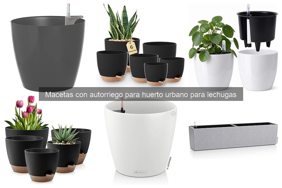 Las mejores macetas con autorriego para cultivar lechugas
