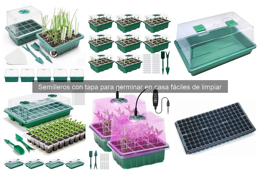 Limpieza y mantenimiento de semilleros con tapa en casa