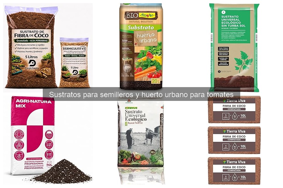 Los mejores sustratos para cultivar tomates en huertos urbanos