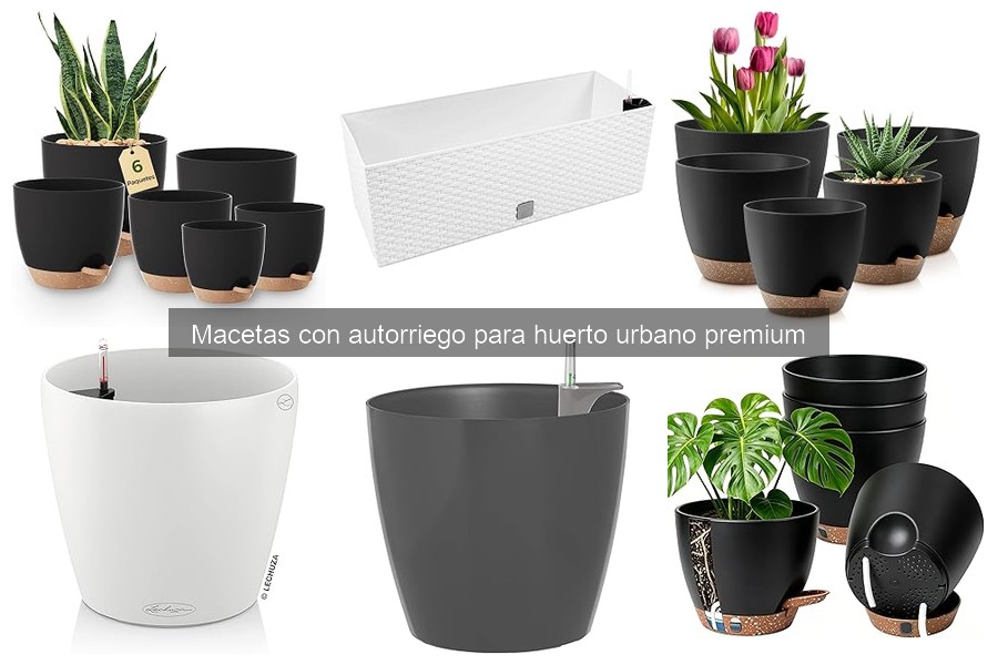 Macetas con autorriego: ¿Qué son y cómo funcionan?