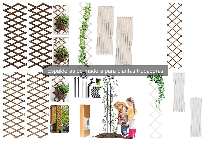 Mejores espalderas de madera para plantas trepadoras 2023