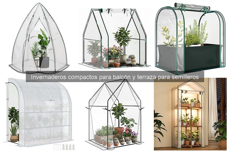 Mejores invernaderos compactos para balcones según presupuesto