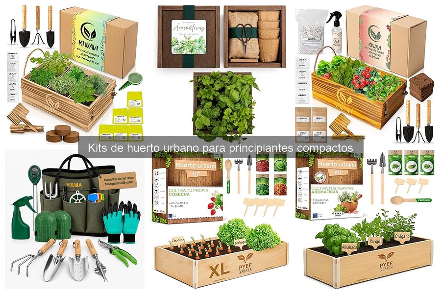 Mejores Kits de Huerto Urbano Compactos para Principiantes