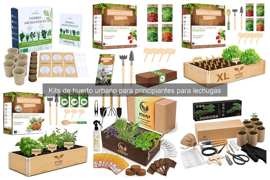 Mejores kits de huerto urbano para cultivar lechugas en 2026