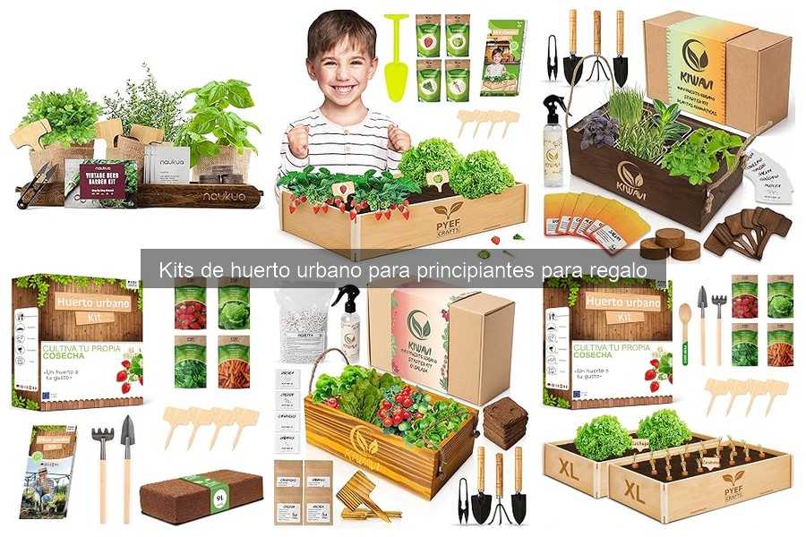 Mejores kits de huerto urbano para regalar a principiantes