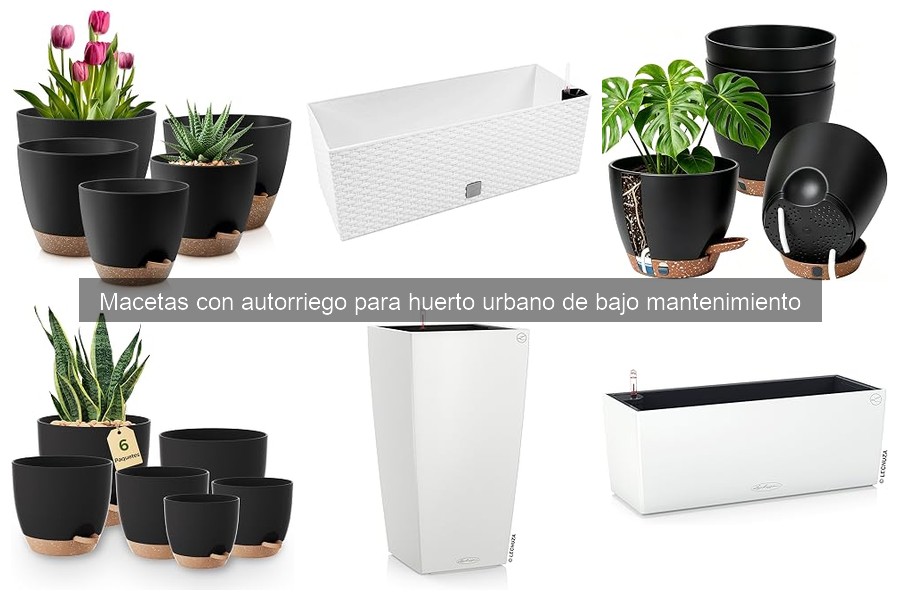 Mejores macetas con autorriego para balcón en 2023