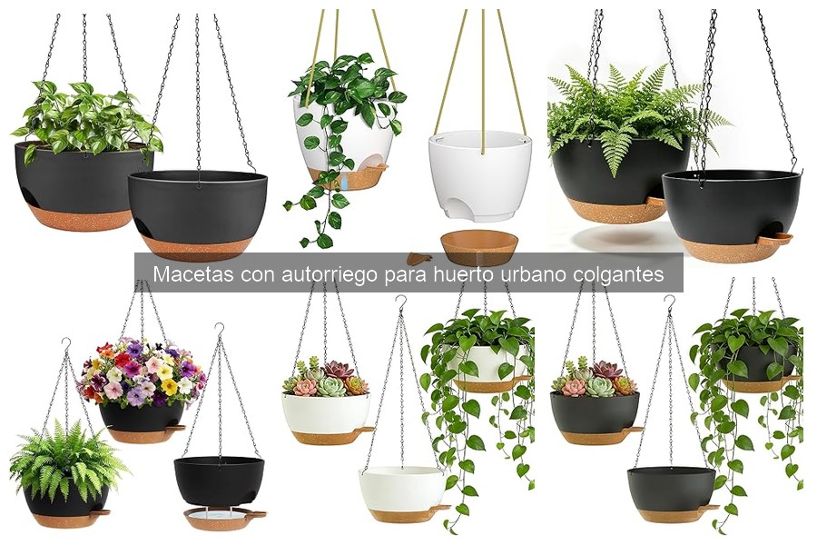 Mejores macetas con autorriego para balcones en 2026