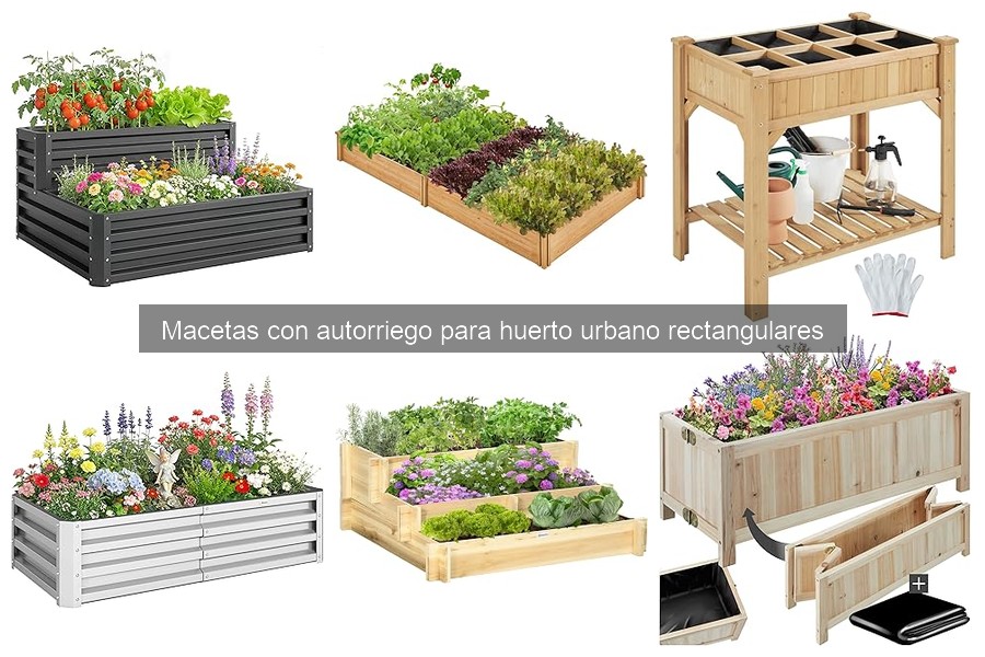 Mejores macetas con autorriego para balcones pequeños