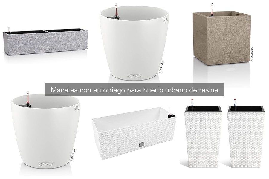 Mejores macetas con autorriego para huerto urbano en balcón