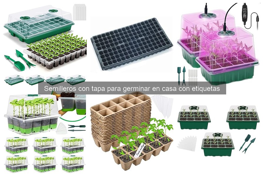 Mejores marcas de semilleros con tapa para germinar en casa