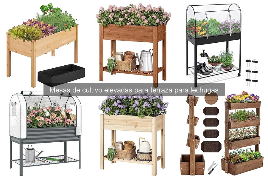Mejores mesas de cultivo elevadas para lechugas en 2026