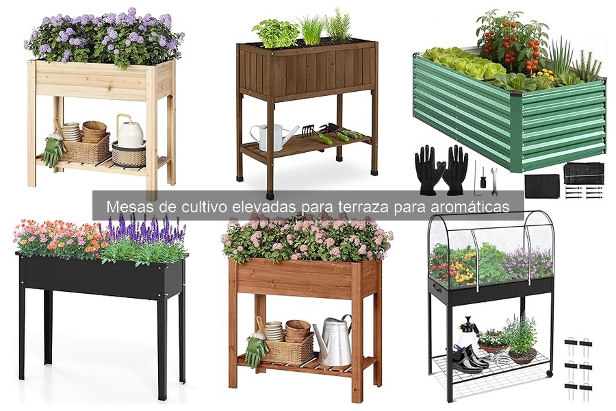 Mejores mesas de cultivo elevadas para plantas aromáticas 2026