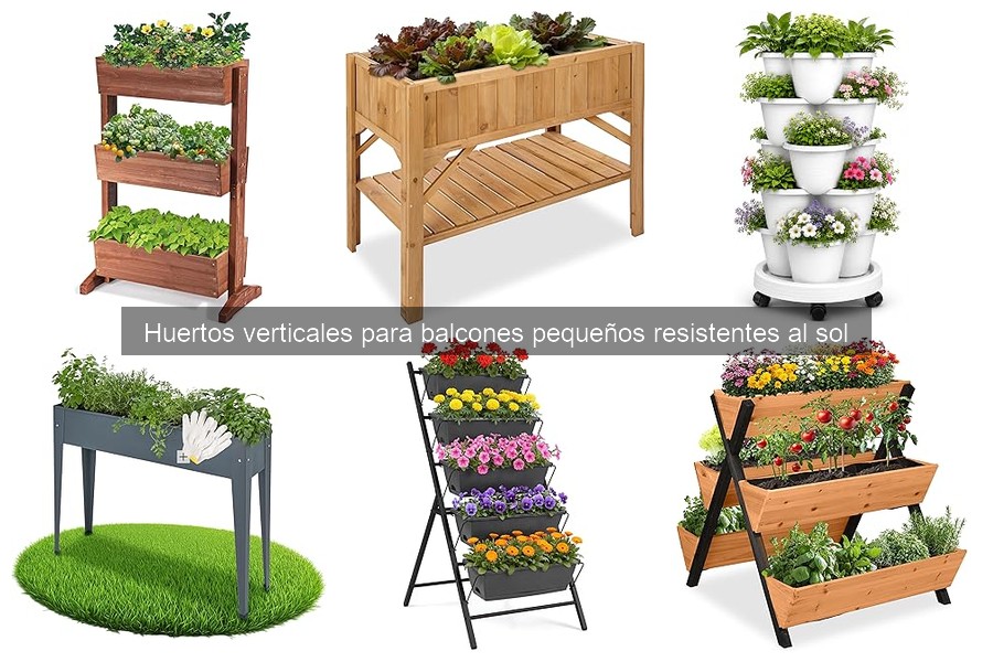 Mejores plantas para huertos verticales en balcones soleados