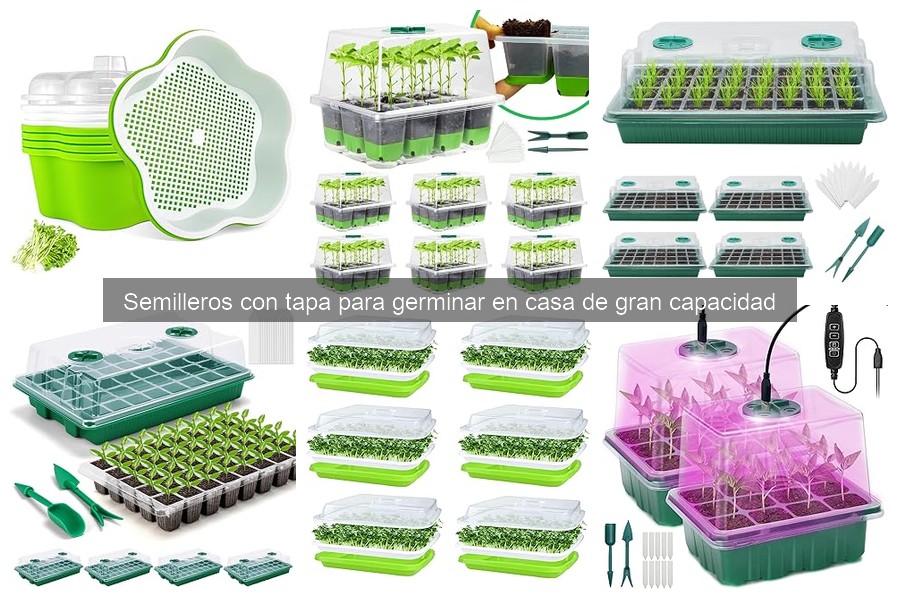 Mejores semilleros con tapa para cultivar en interiores 2026