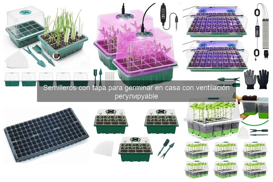 Mejores semilleros con tapa para germinar en casa 2026