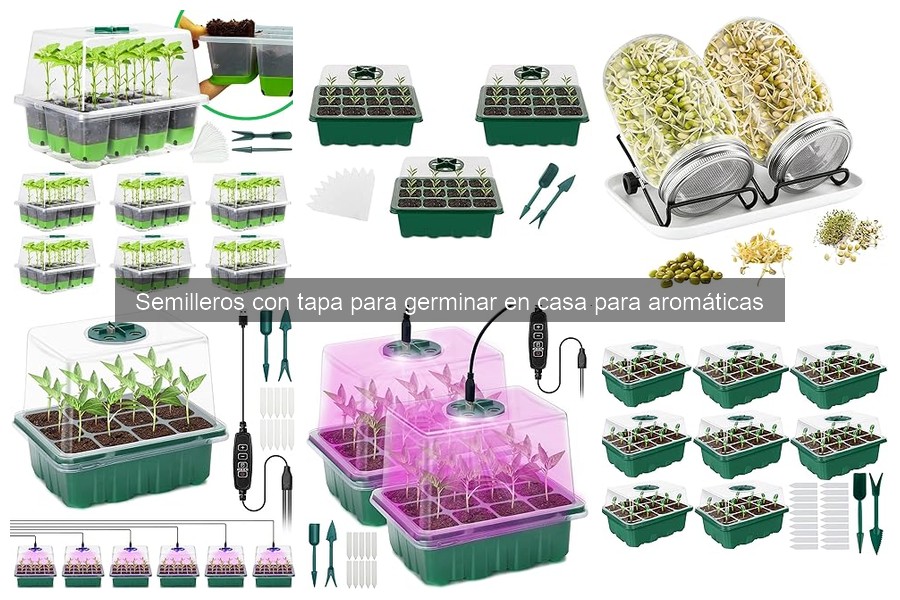 Mejores semilleros con tapa para germinar hierbas en casa