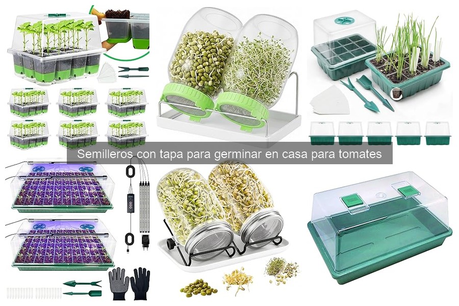 Mejores semilleros con tapa para germinar tomates en casa