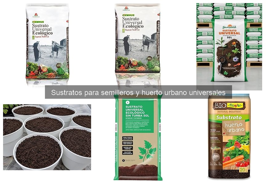 Mejores sustratos para semilleros en huerto urbano
