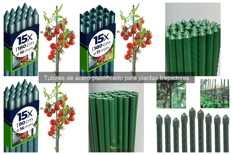 Mejores tutores de acero plastificado para plantas trepadoras