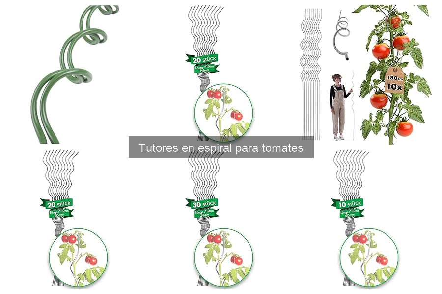 Mejores tutores en espiral para tomates en espacios pequeños