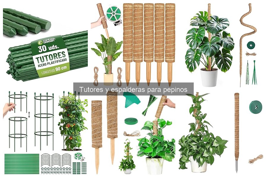 Mejores tutores para pepinos en huertos urbanos 2026