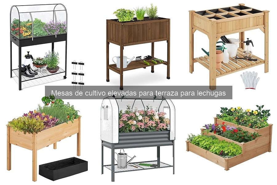 Mesas de Cultivo Elevadas para Terraza: Beneficios y Características