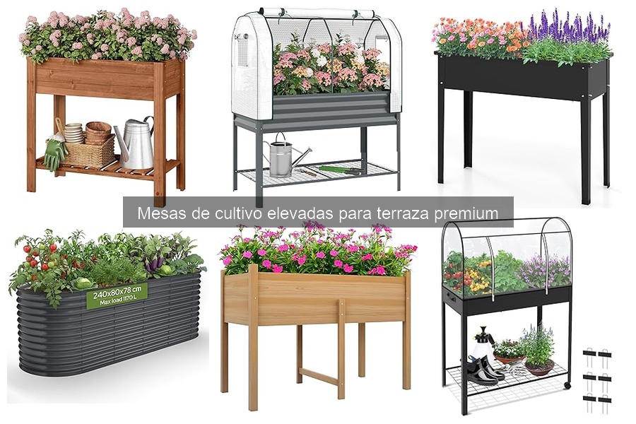Mesas de cultivo elevadas: ventajas y beneficios ¿Por qué elegirlas?