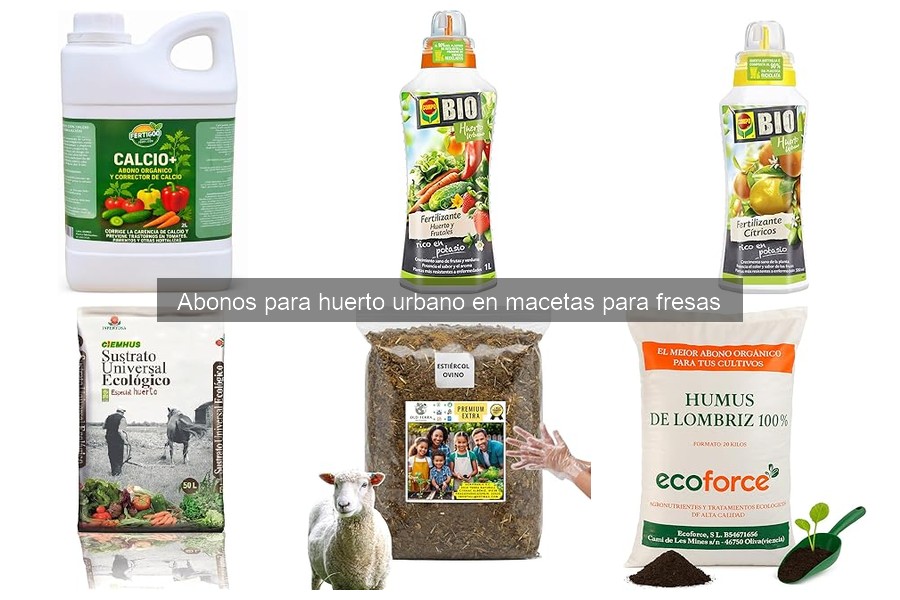 Problemas comunes al abonar fresas en macetas