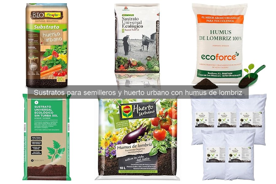 Problemas comunes al usar humus de lombriz en huertos urbanos