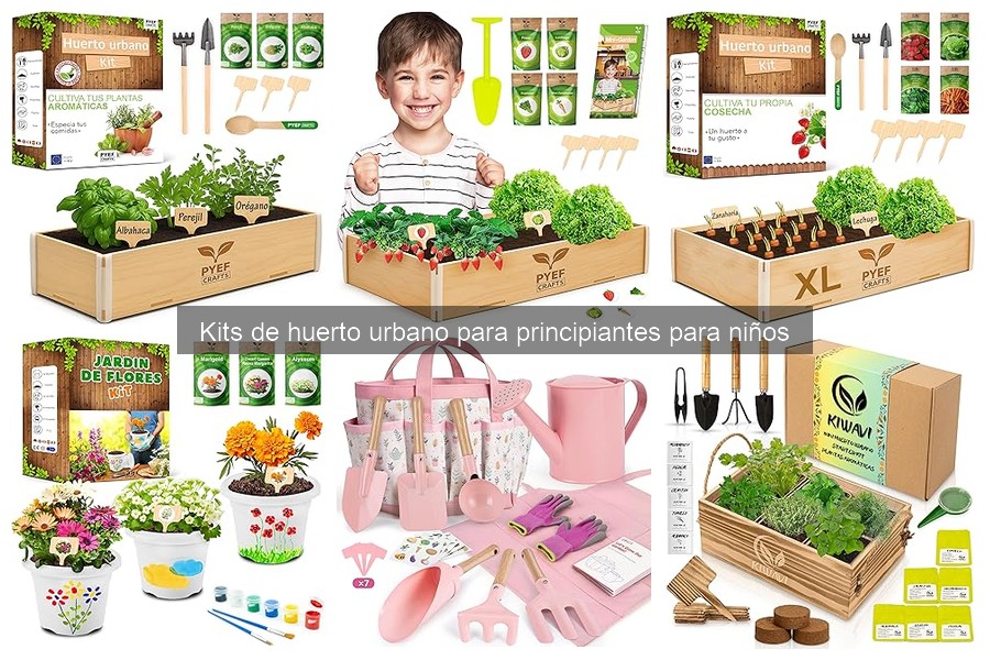 Problemas comunes al usar kits de huerto urbano para principiantes