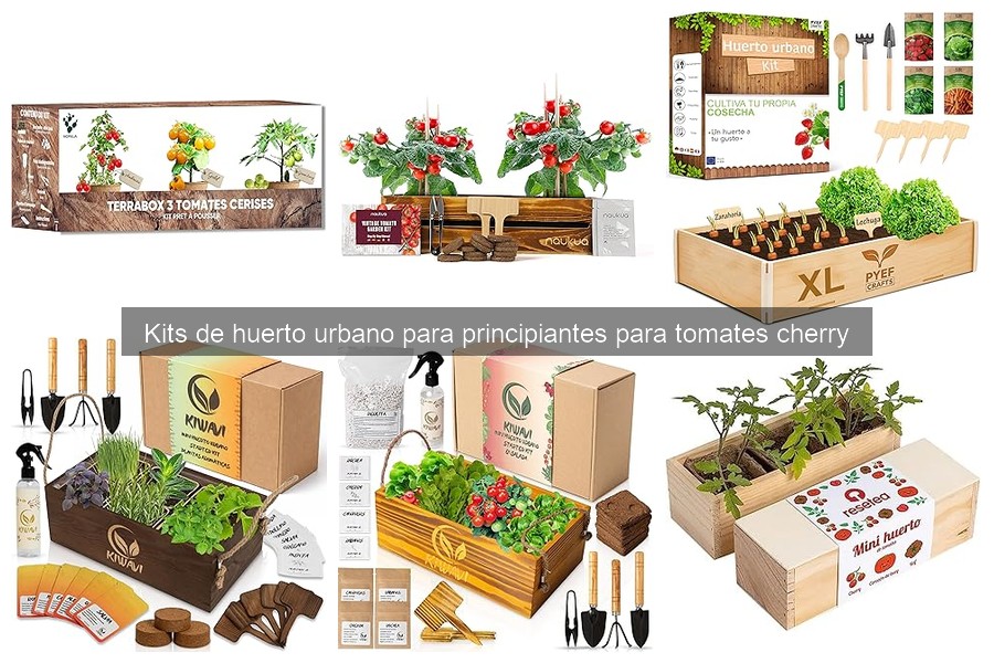 Problemas Comunes al Usar Kits de Huerto Urbano para Tomates Cherry
