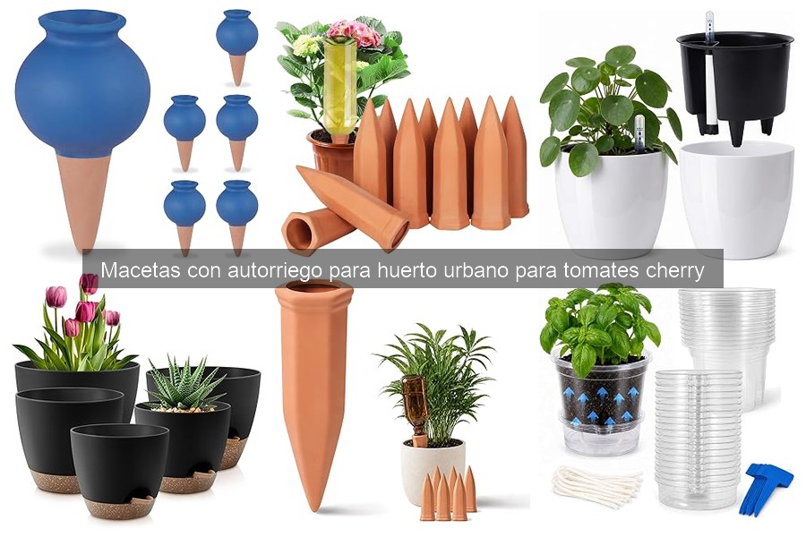 Problemas comunes al usar macetas autorriego para tomates cherry