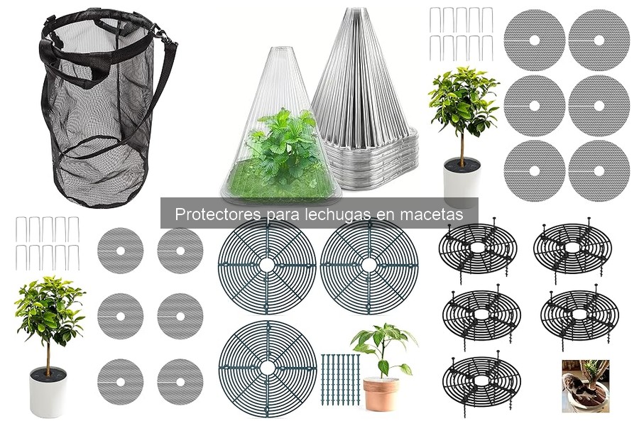 Problemas comunes al usar protectores para lechugas en macetas