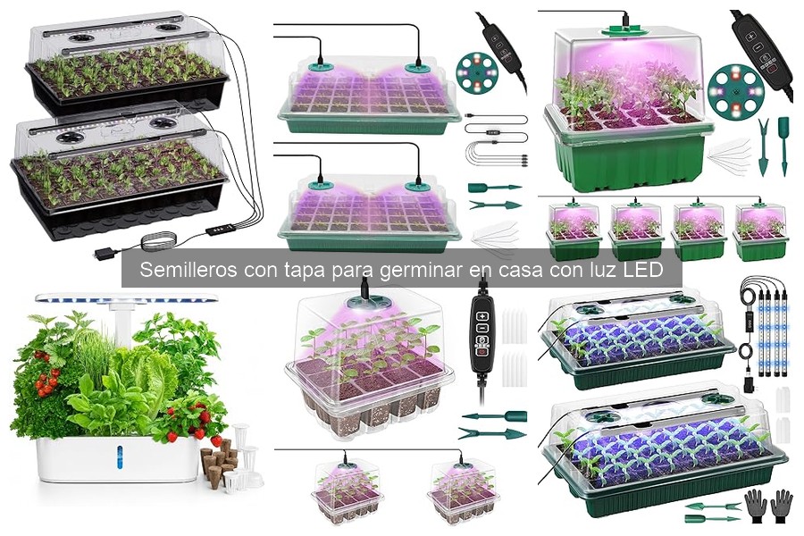 Problemas comunes al usar semilleros con luz LED y soluciones