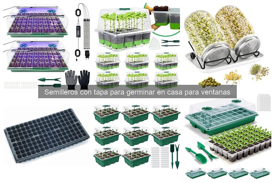 Problemas comunes al usar semilleros con tapa y soluciones