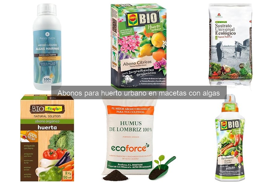 Problemas Comunes con Abonos de Algas en Huertos Urbanos