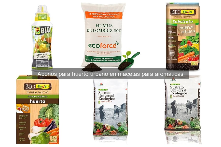 Problemas comunes con abonos para aromáticas y soluciones