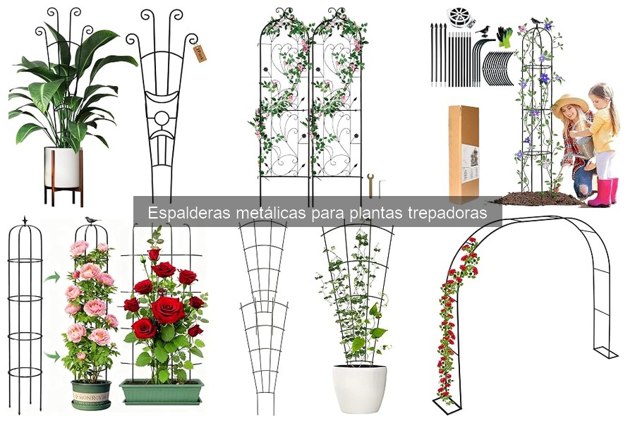 Problemas Comunes con Espalderas Metálicas y Soluciones
