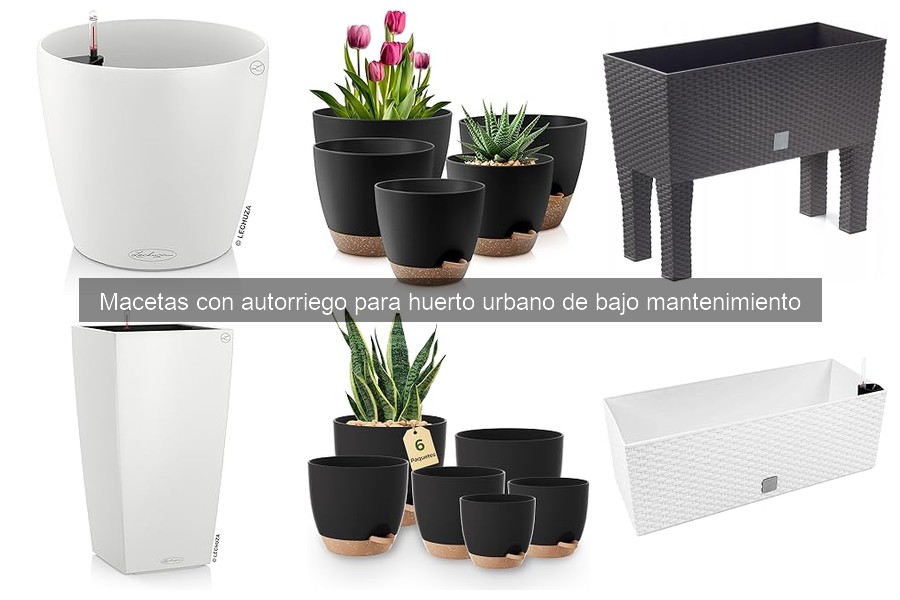 Problemas comunes con macetas autorriego y soluciones efectivas