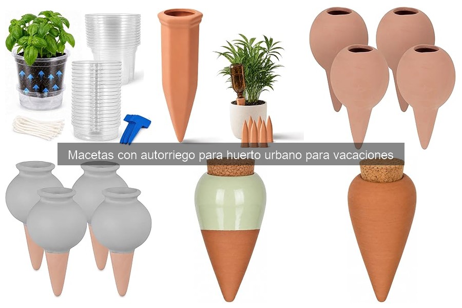 Problemas Comunes con Macetas de Autorriego y Soluciones
