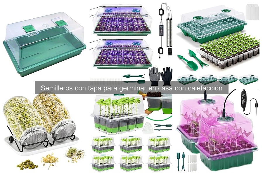 Problemas comunes con semilleros con calefacción y soluciones