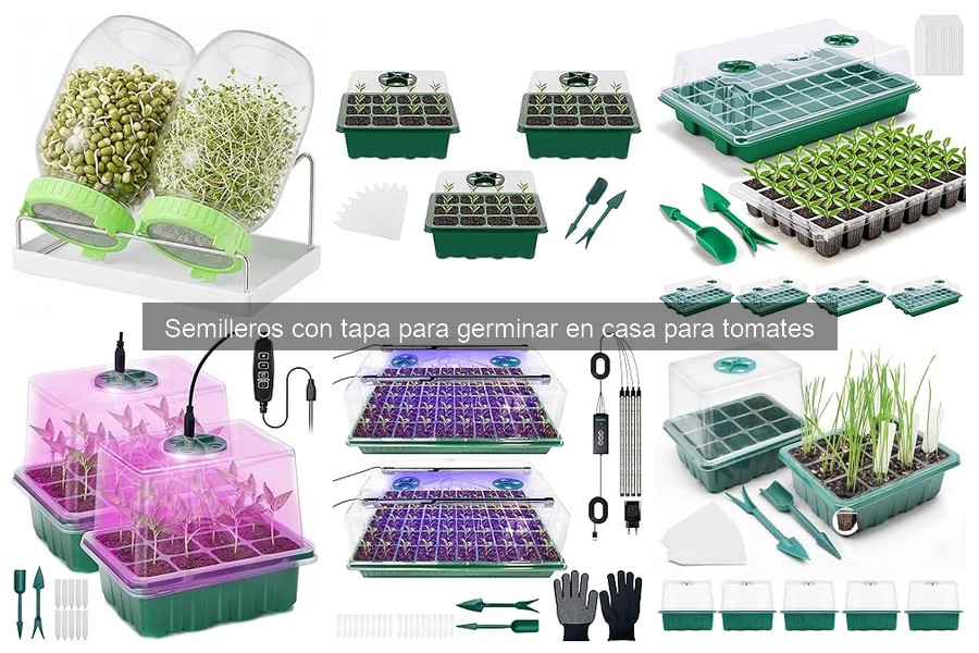 Problemas comunes con semilleros con tapa para tomates y soluciones