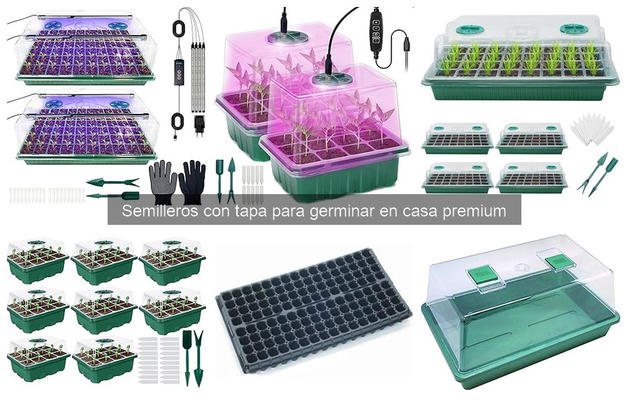 Problemas comunes con semilleros con tapa y soluciones
