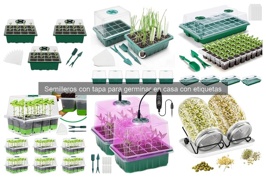 Problemas comunes con semilleros de germinación y soluciones