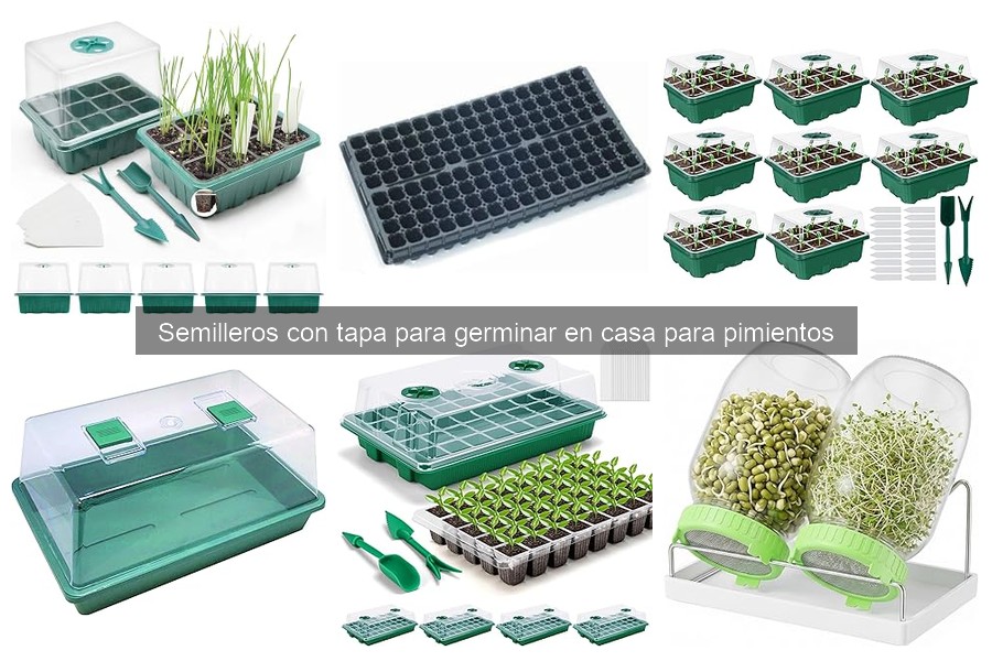 Problemas comunes con semilleros para pimientos y soluciones
