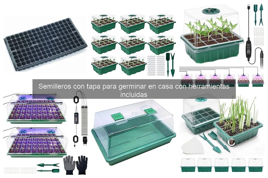 Problemas comunes con semilleros y cómo solucionarlos