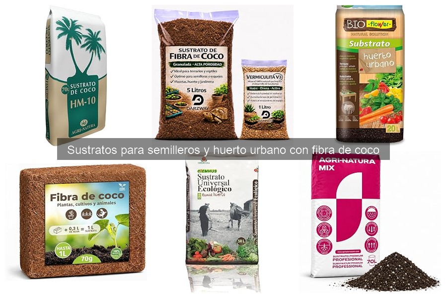 Problemas comunes con sustratos de fibra de coco en semilleros