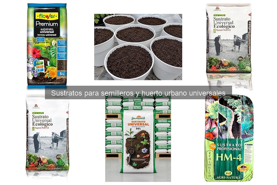 Problemas comunes con sustratos en huertos urbanos y soluciones