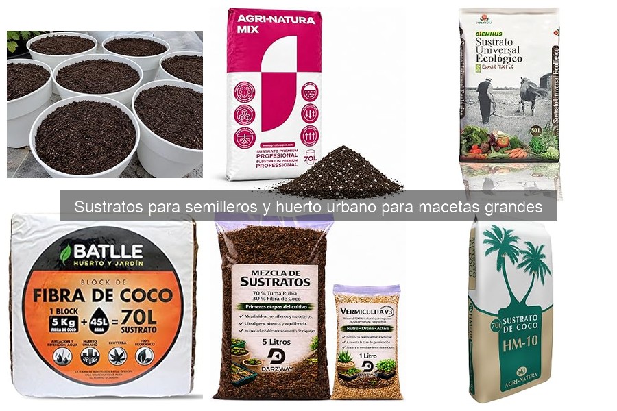 Problemas comunes con sustratos en semilleros y soluciones
